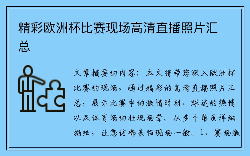 精彩欧洲杯比赛现场高清直播照片汇总